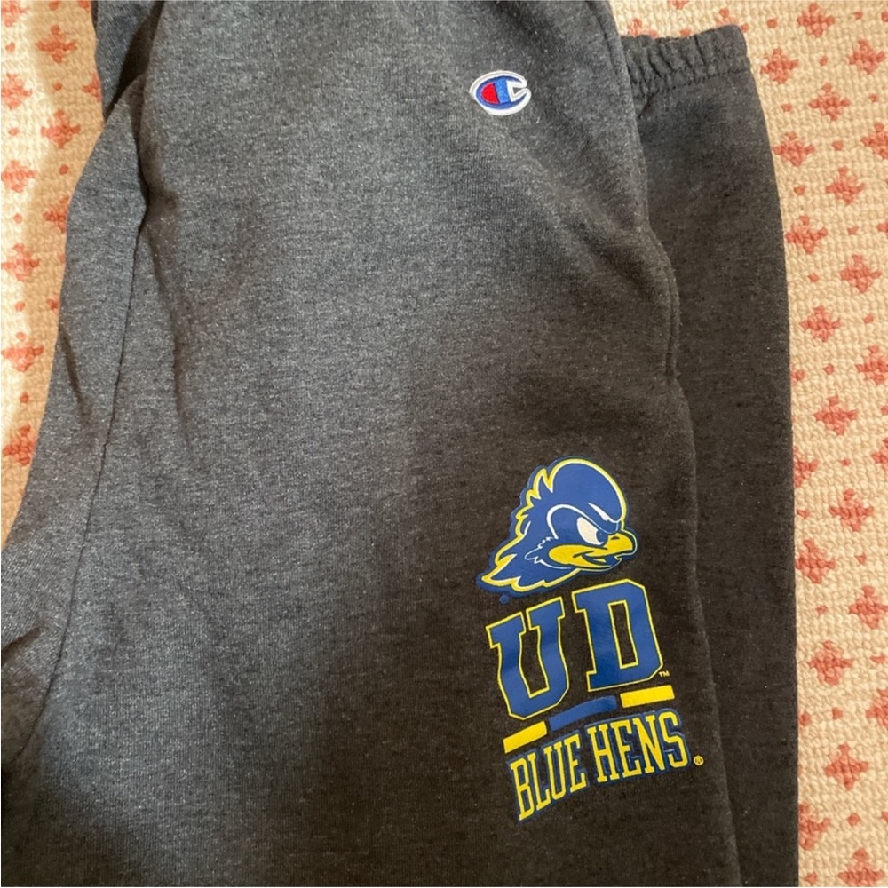Champion university of delaware sweatpants